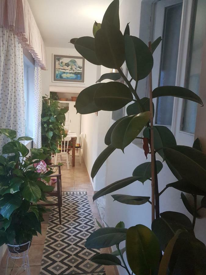 Villa Marco'S House à Dolianova Extérieur photo